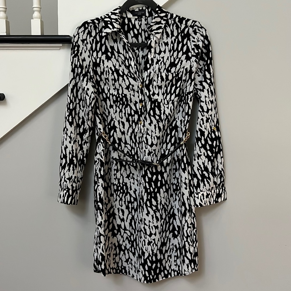 The Limited Ashton XS belted shirt dress